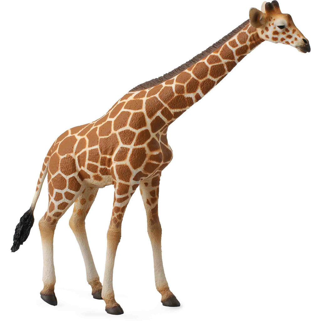 Giraffa Animale Giocattolo Collecta - Shop Millemamme