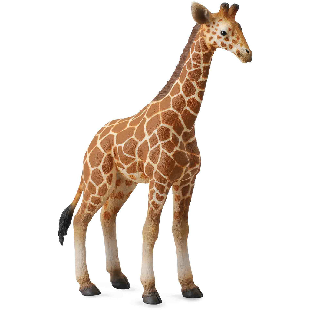 Cucciolo di Giraffa Animale Giocattolo Collecta - Shop Millemamme