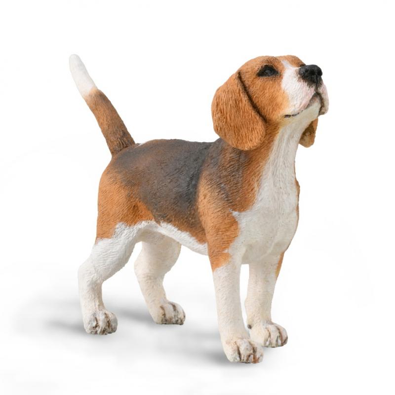 Cane Beagle Animale Giocattolo Collecta - Shop Millemamme