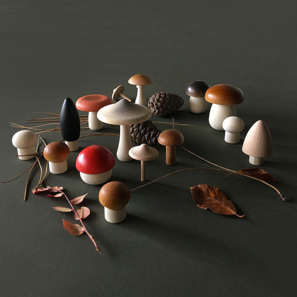 PRE-ORDINE Funghi giocattolo in legno Moon Picnic - Shop Millemamme