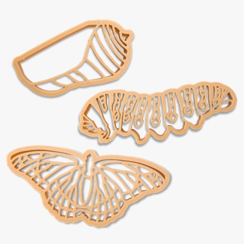 Formine in bioplastica per pasta modellabile Ciclo vitale della Farfalla Kinfolk Pantry - Shop Millemamme